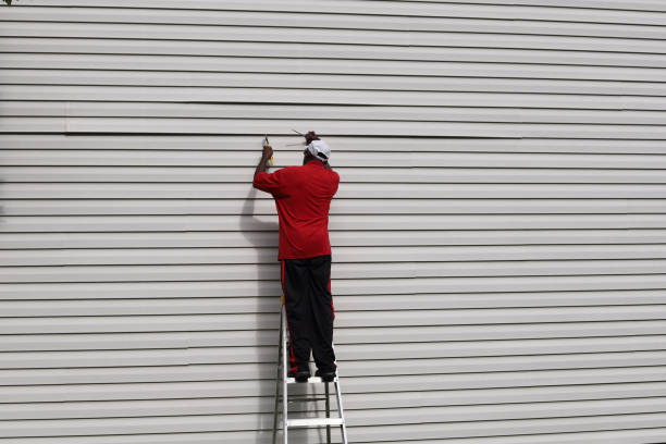 Affordable Siding Repair and Maintenance Services in East Norwich, NY